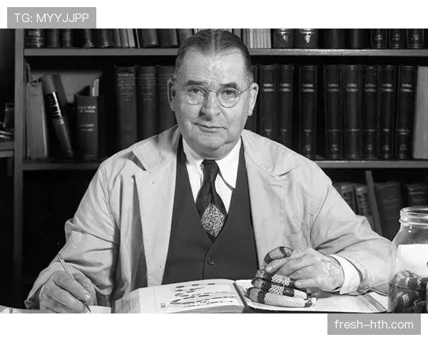 艾莉森·施米特稳定发挥助力团队取得佳绩